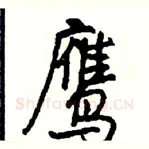鹰