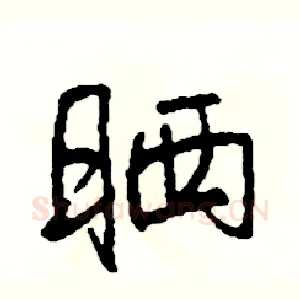 晒