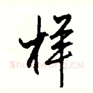 样