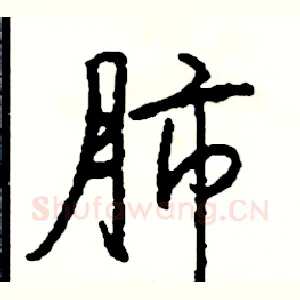 肺