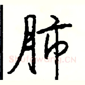 肺