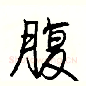 腹