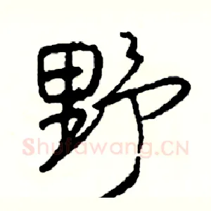 野