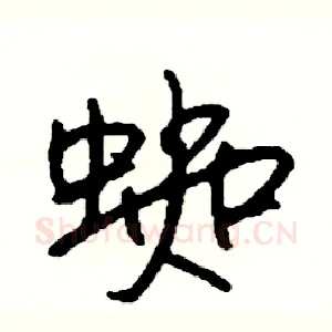 蜘