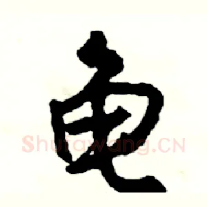 龟
