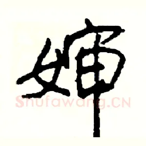 婶