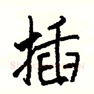 插