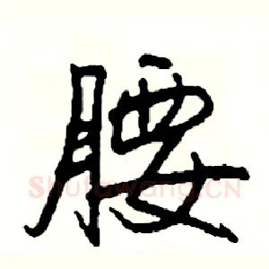 腰