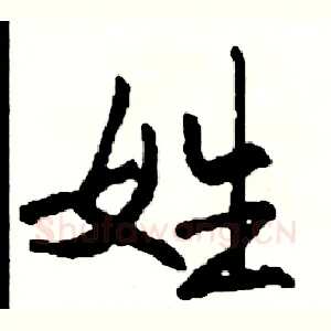 姓
