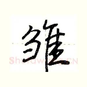 雏
