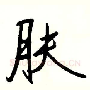 肤