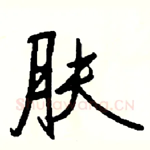 肤