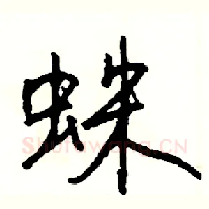 蛛