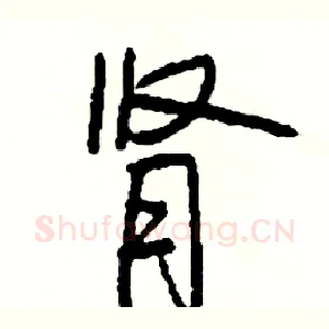肾