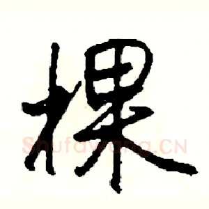 棵