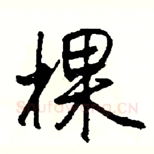 棵