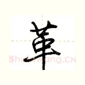 革