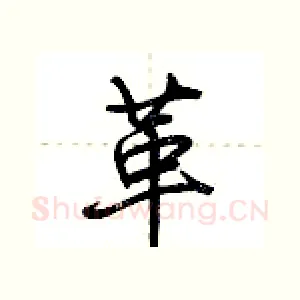 革