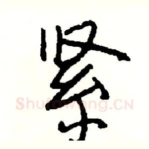 紧