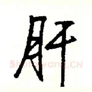 肝