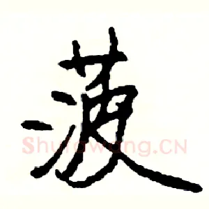 菠