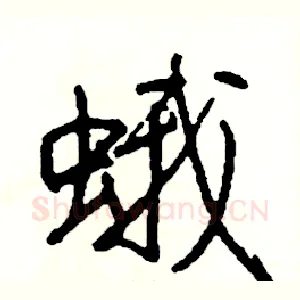 蛾