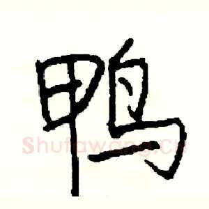鸭