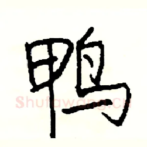 鸭