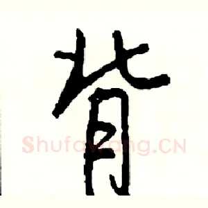 背
