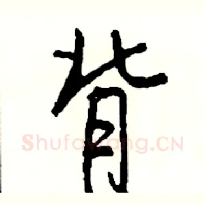 背