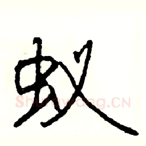 蚁