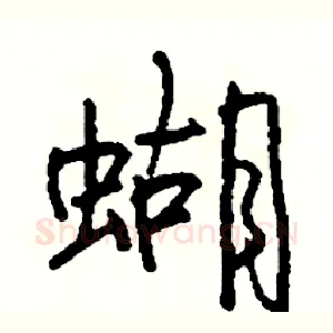 蝴
