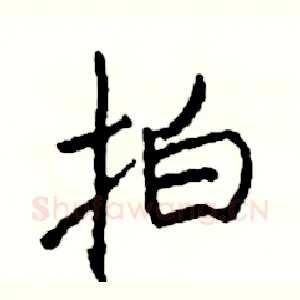 拍