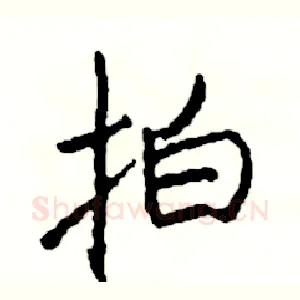 拍