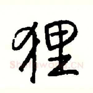 狸