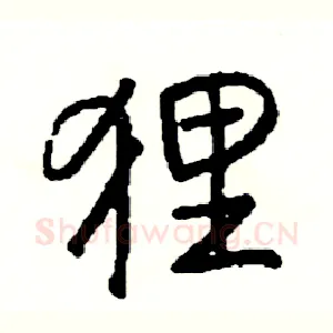狸