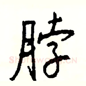 脖