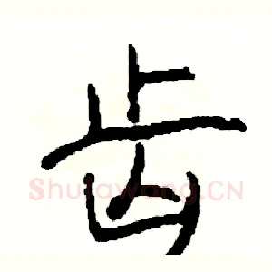 齿