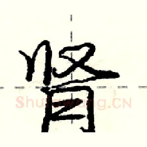 肾