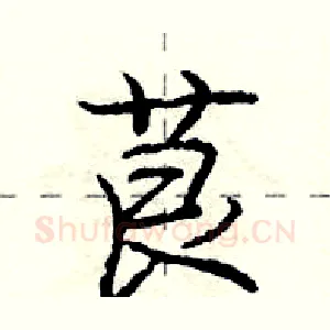 茛