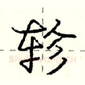轸