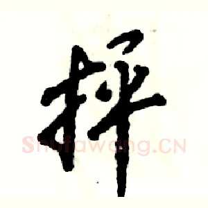 抨