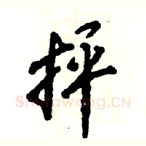 抨