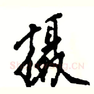 摄