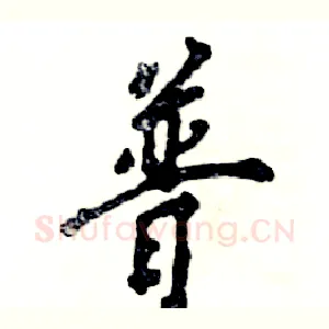 普