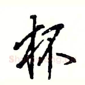 杯