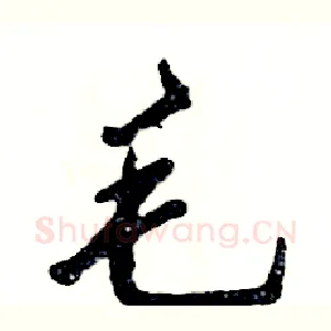 毛
