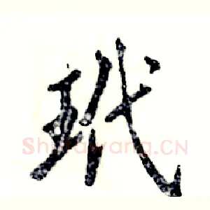 玳