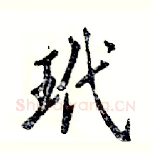 玳