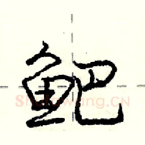 鲃